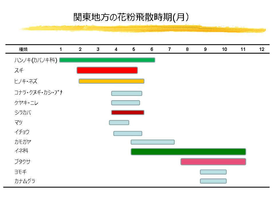 ⑦秋の花粉症について